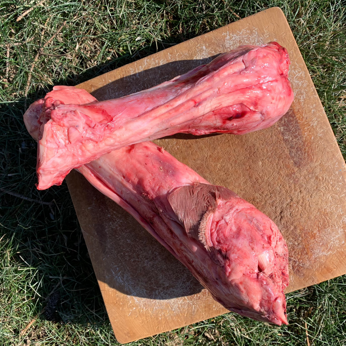 Beef Bones-2 pack