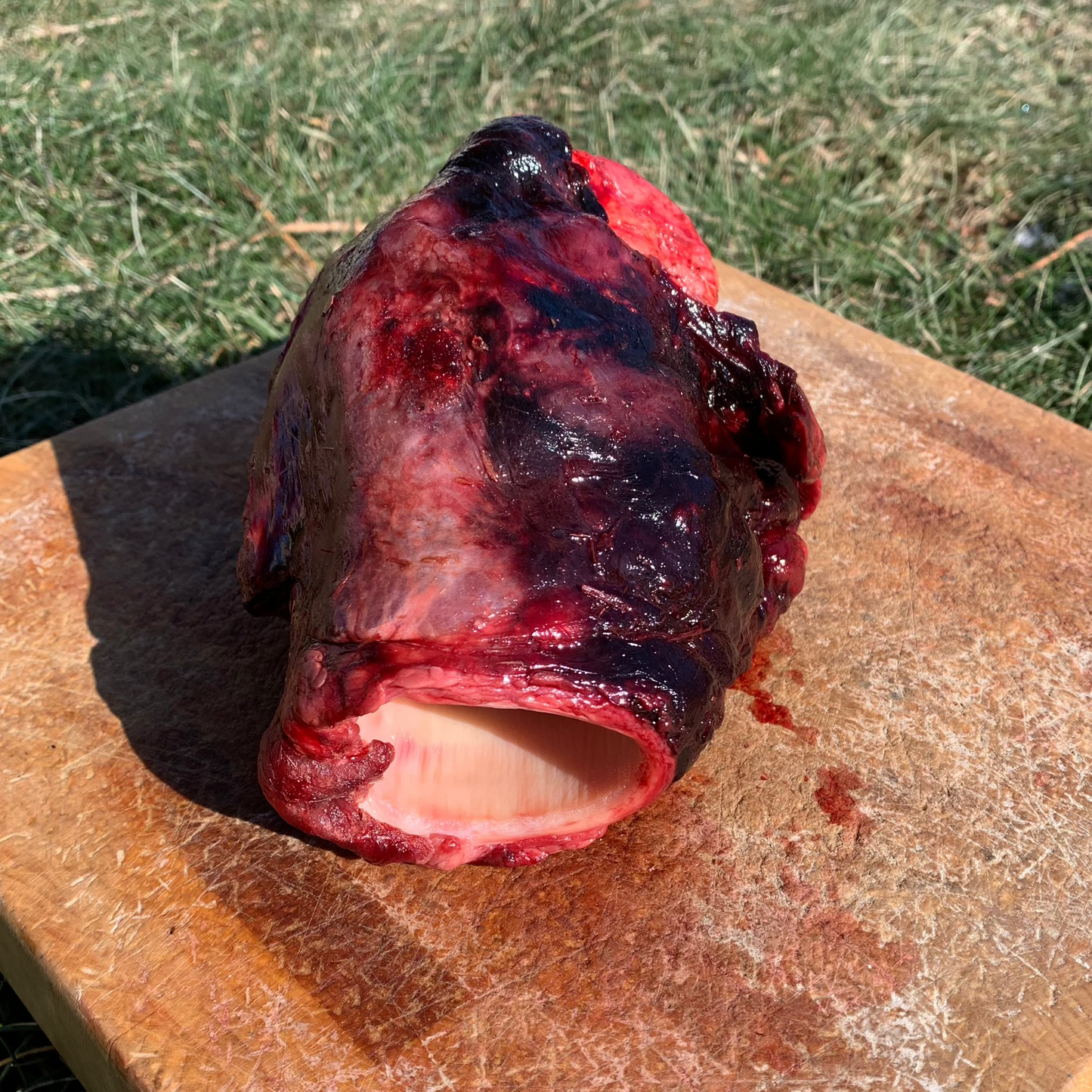 Beef Gullet-Whole