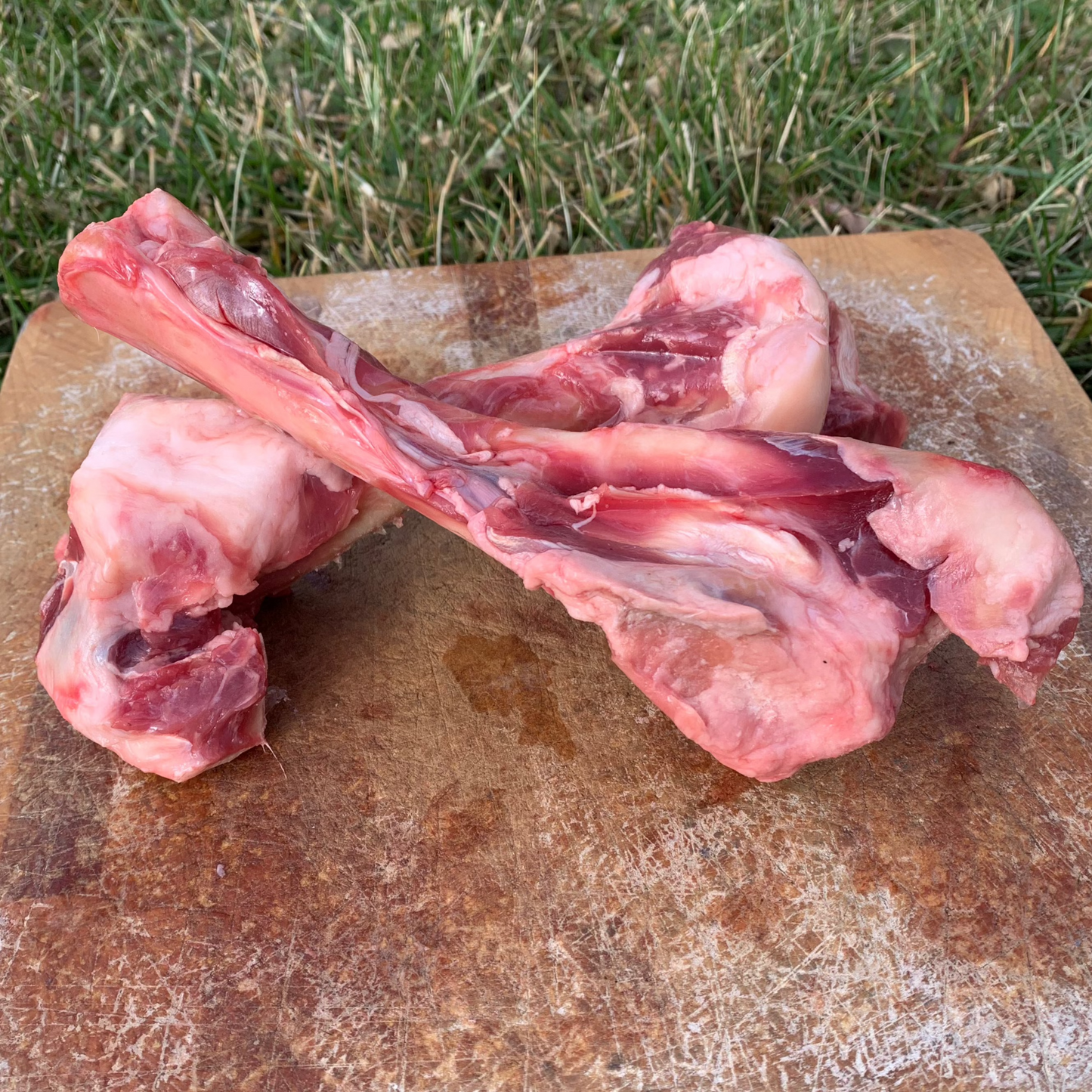 Lamb Marrow Bones - 2 pk