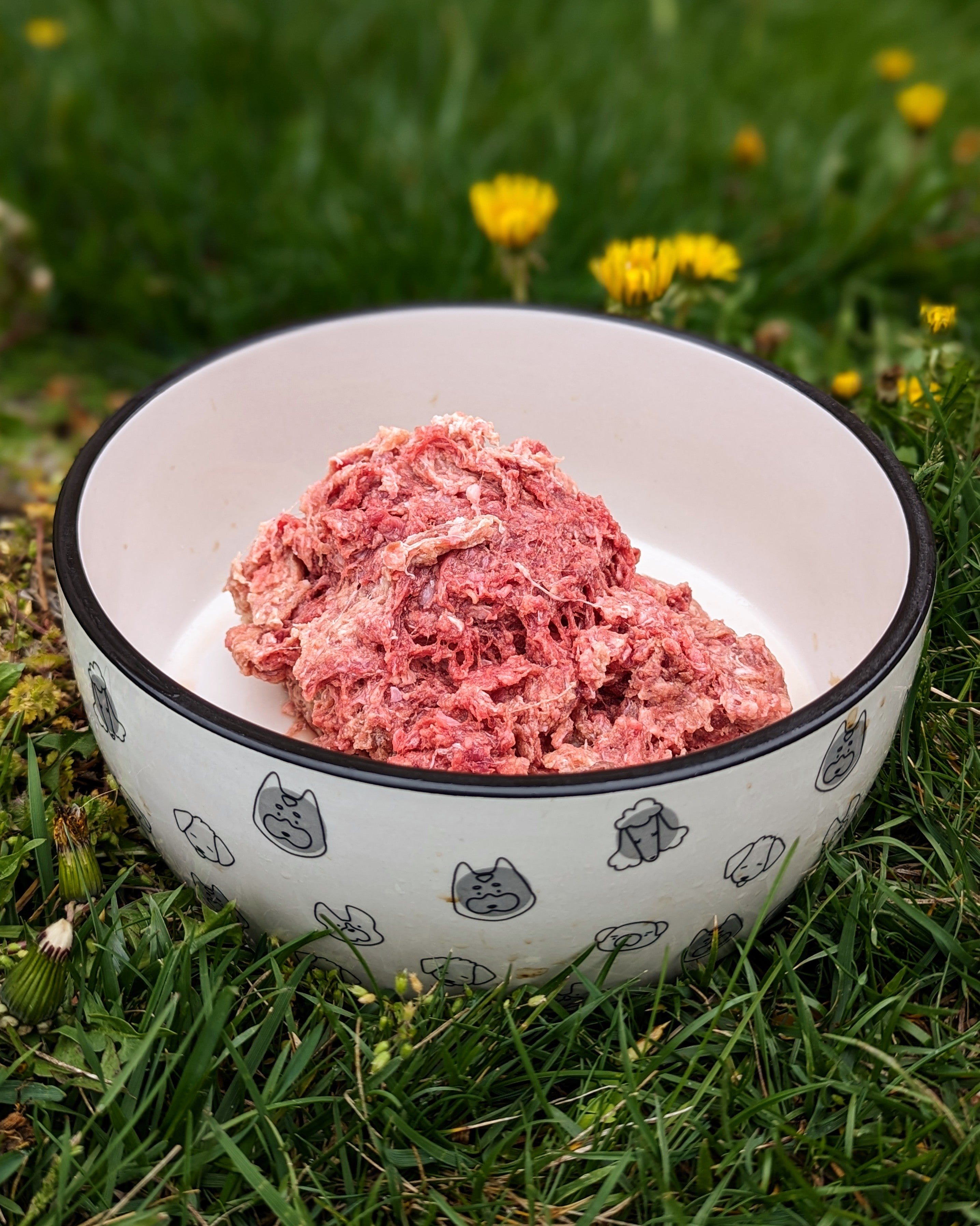 Fine Ground Beef Supreme PMR 1 LB My Pet Carnivore