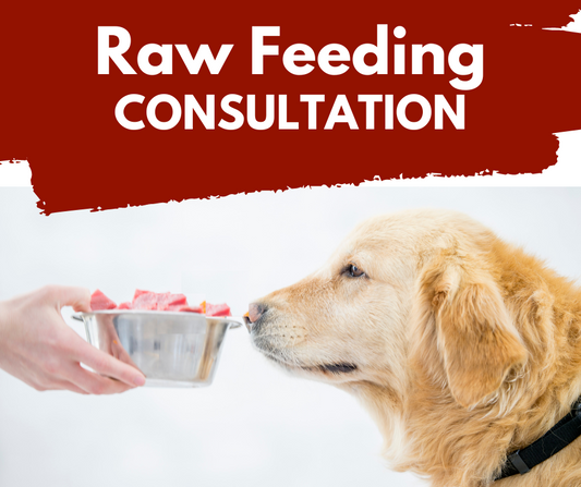 Raw-Feeding Consultation