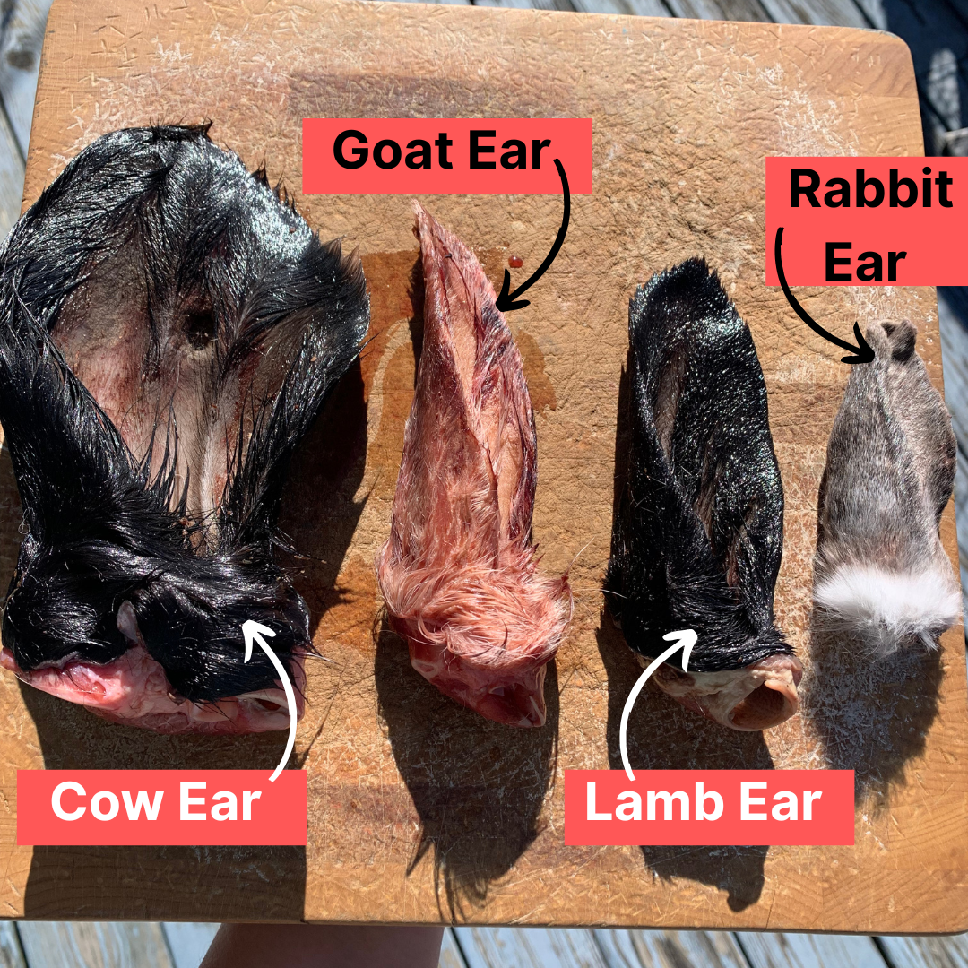 Raw Lamb Ears-2 LB.