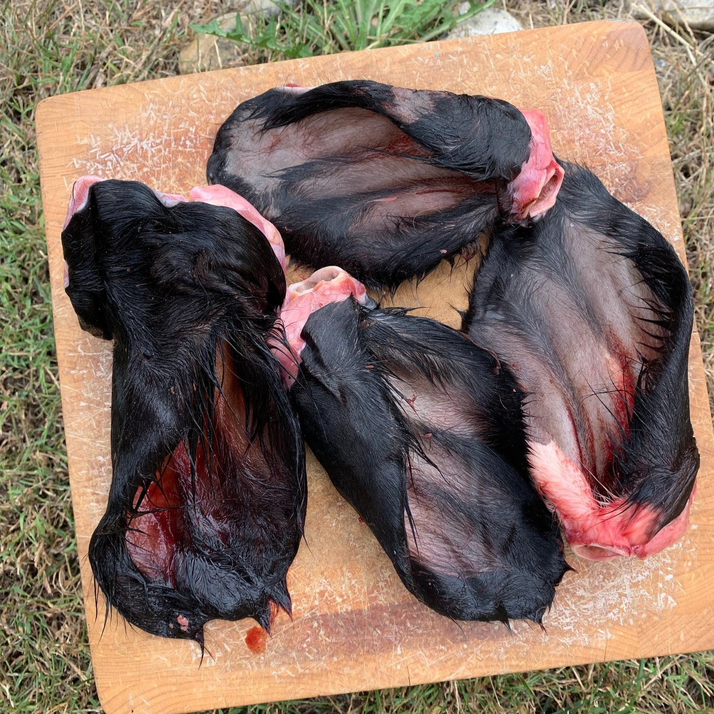 Raw Cow Ears-4 pack