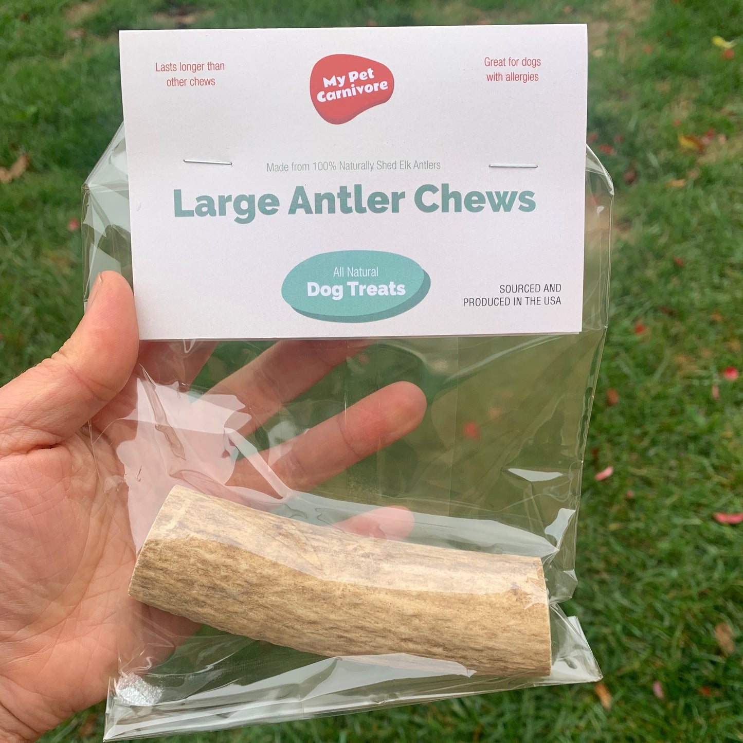 Elk Antler Large Chew