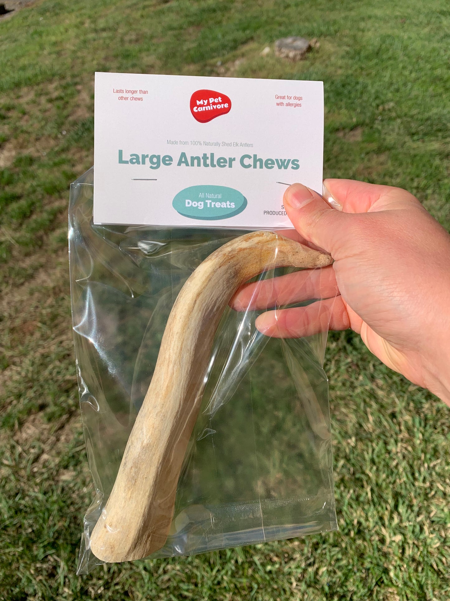 Elk Antler Large Chew