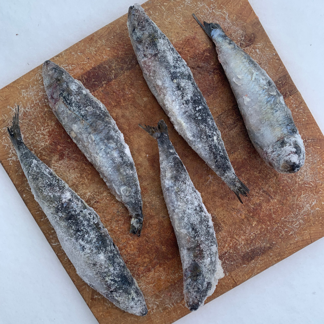 Whole Prey Sardines Fish-3 LB.