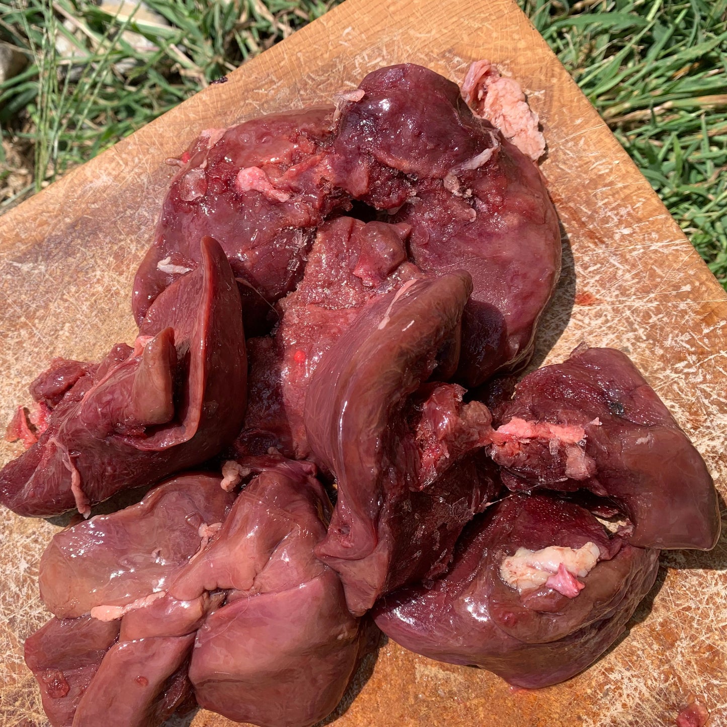 Turkey Livers-1 LB.